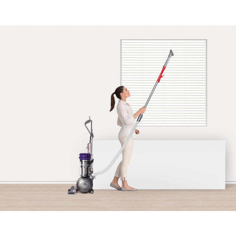 Dyson  Cinetic Big Ball Animal  Bagless  Corded  Upright Vacuum  11 amps Purple and Silver  HEPA