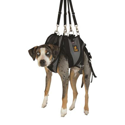PMI® AnExK9 Harness