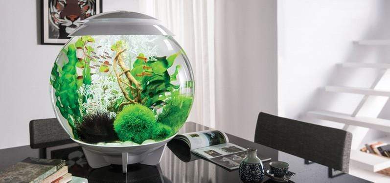 biOrb Halo 60L / 16 Gallon All-in-One Acrylic Aquarium Kit with Multicolor Light