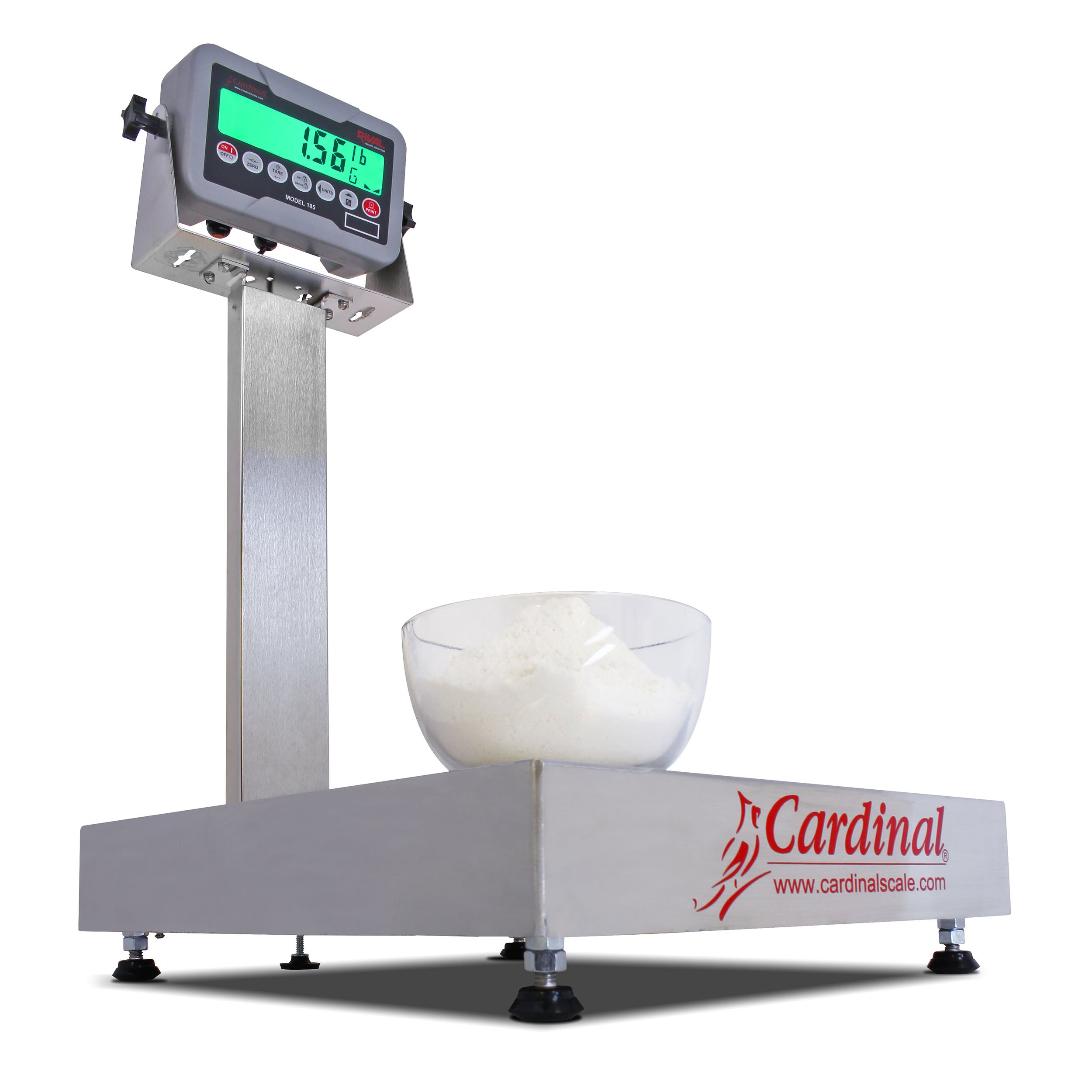 Cardinal EB-185 Series Bench Scale