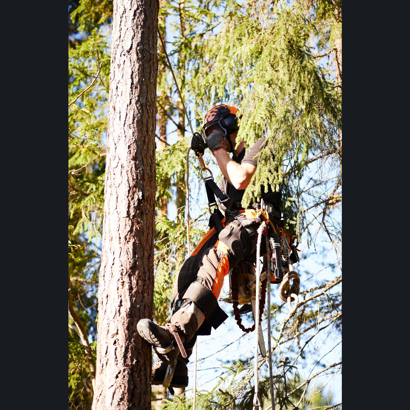 Skylotec Sirius Descender