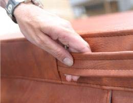 Hot Spring/Tiger River Bengal Spa Cover 5