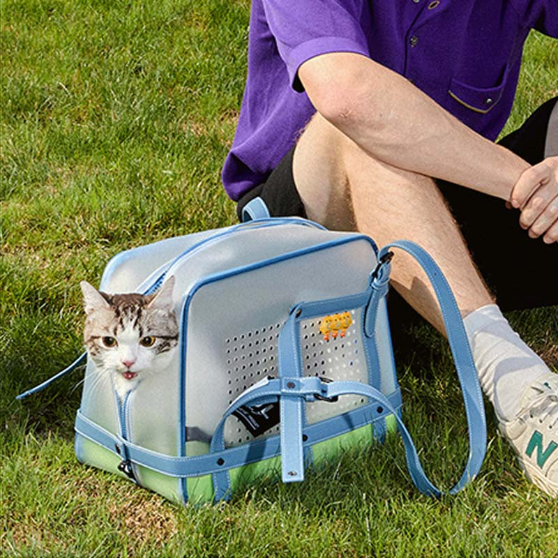 Blue Portable Cat Carrier