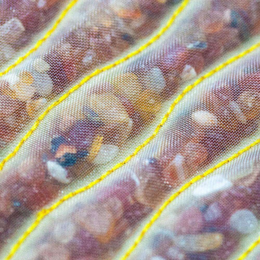 HealthyLine Rainbow Medium 5024 Firm PEMF InfraMat Pro® First Edition Chakra Mat New