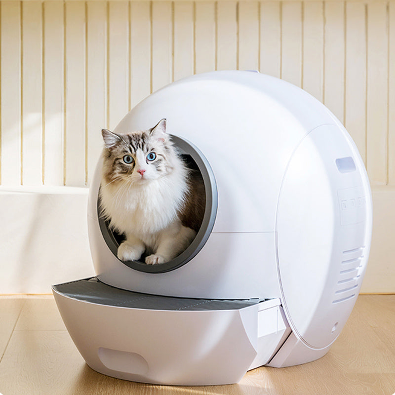 Self-cleaning Cat Litter Box