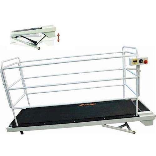 GoPet PR730 PetRun 59 Inch Large Breed up to 264 pounds Giant Dog Treadmill New