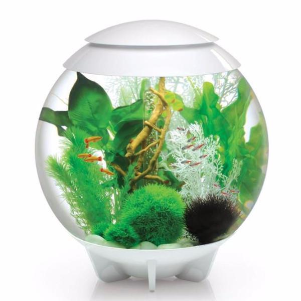 biOrb Halo 60L / 16 Gallon All-in-One Acrylic Aquarium Kit with Multicolor Light
