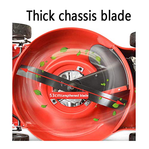 wangzi Self-propelled Lawnmower Self-propelled Hand-Push Lawn Mower Lawn Mower Household Cutting Height 20-50cm Cutting Width500mm