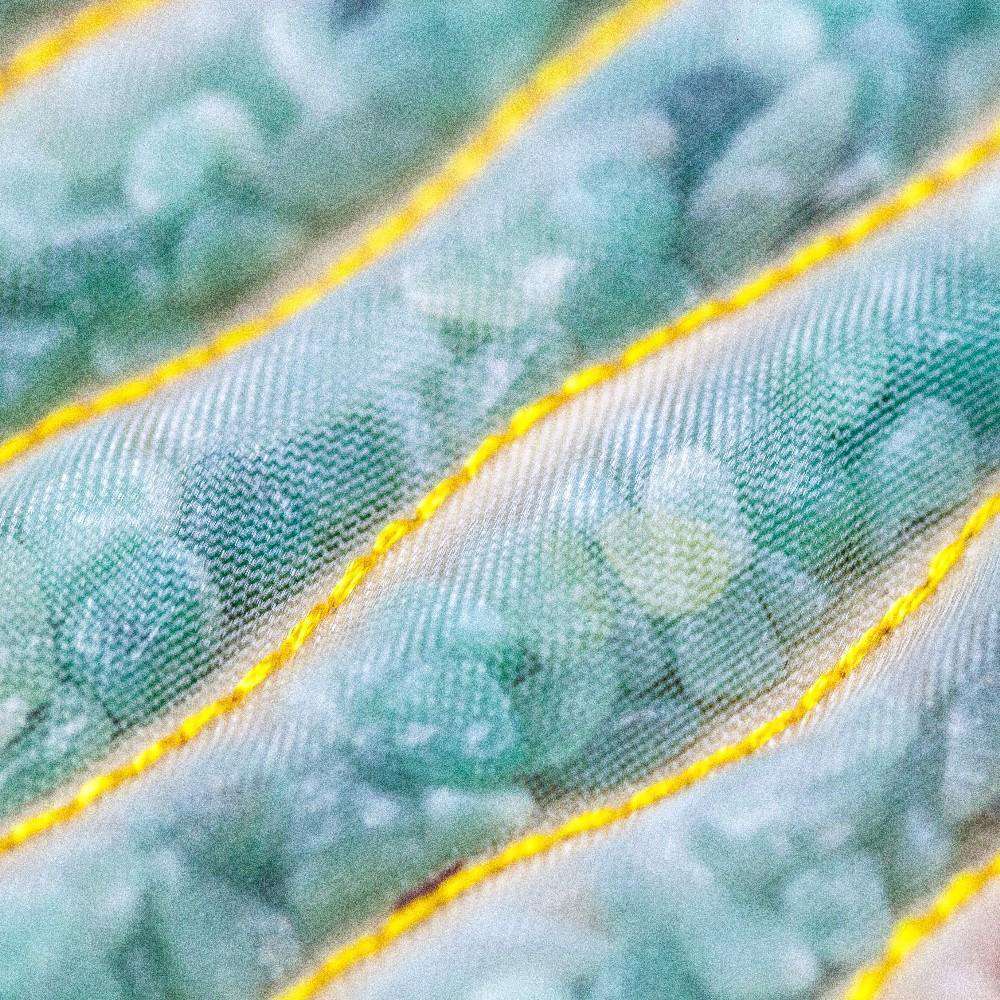 HealthyLine Rainbow Large 74