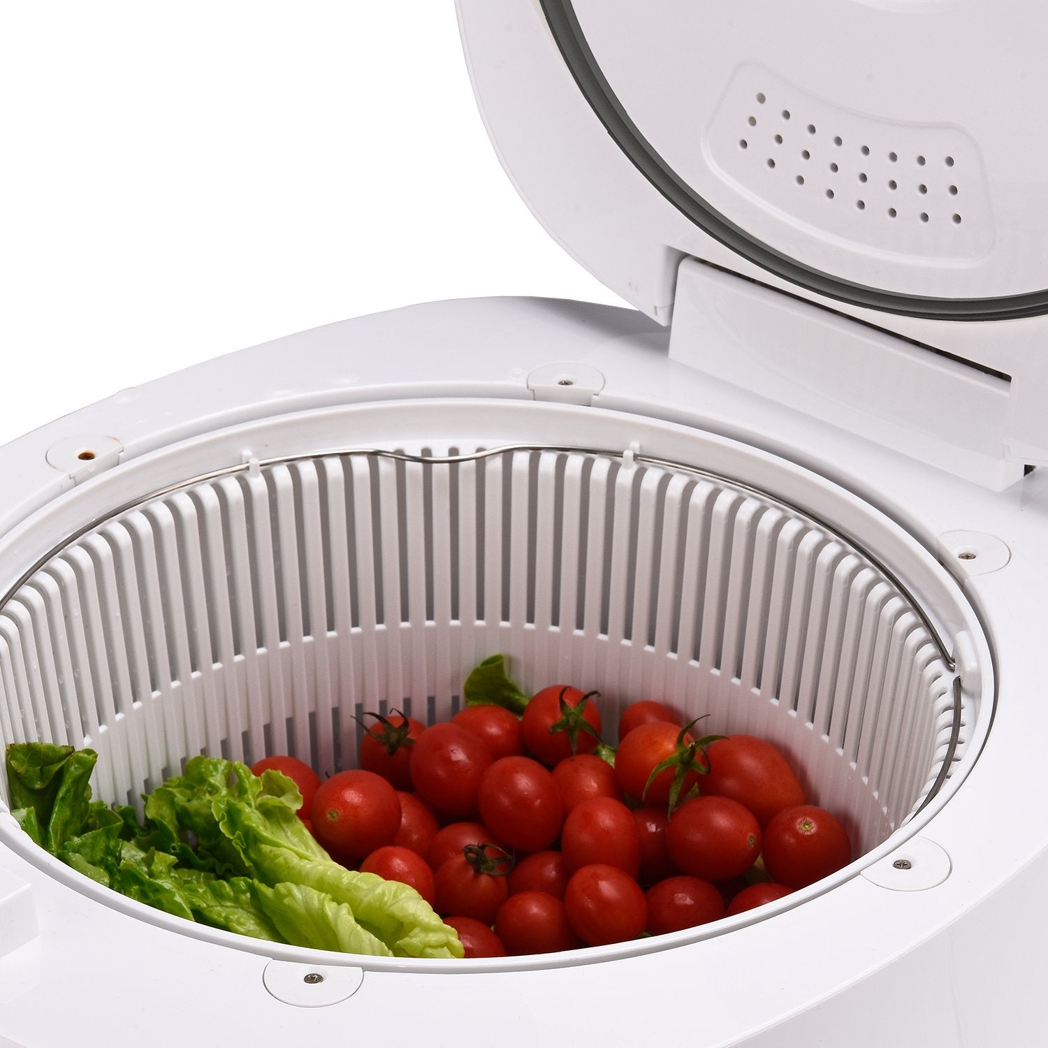 Lifesmart TW988 TrueWash Universal Wet/Dry Sanitizing System with UV-O3 New