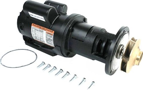 Pentair RA2117203 3/4 HP Pump Circulation Assembly Replacement Pool and Spa Heater