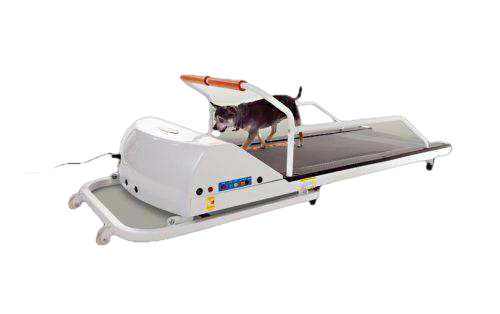 GoPet PR710F PetRun 24 Inch Toy Breed up to 88 pounds Small Dog Treadmill New