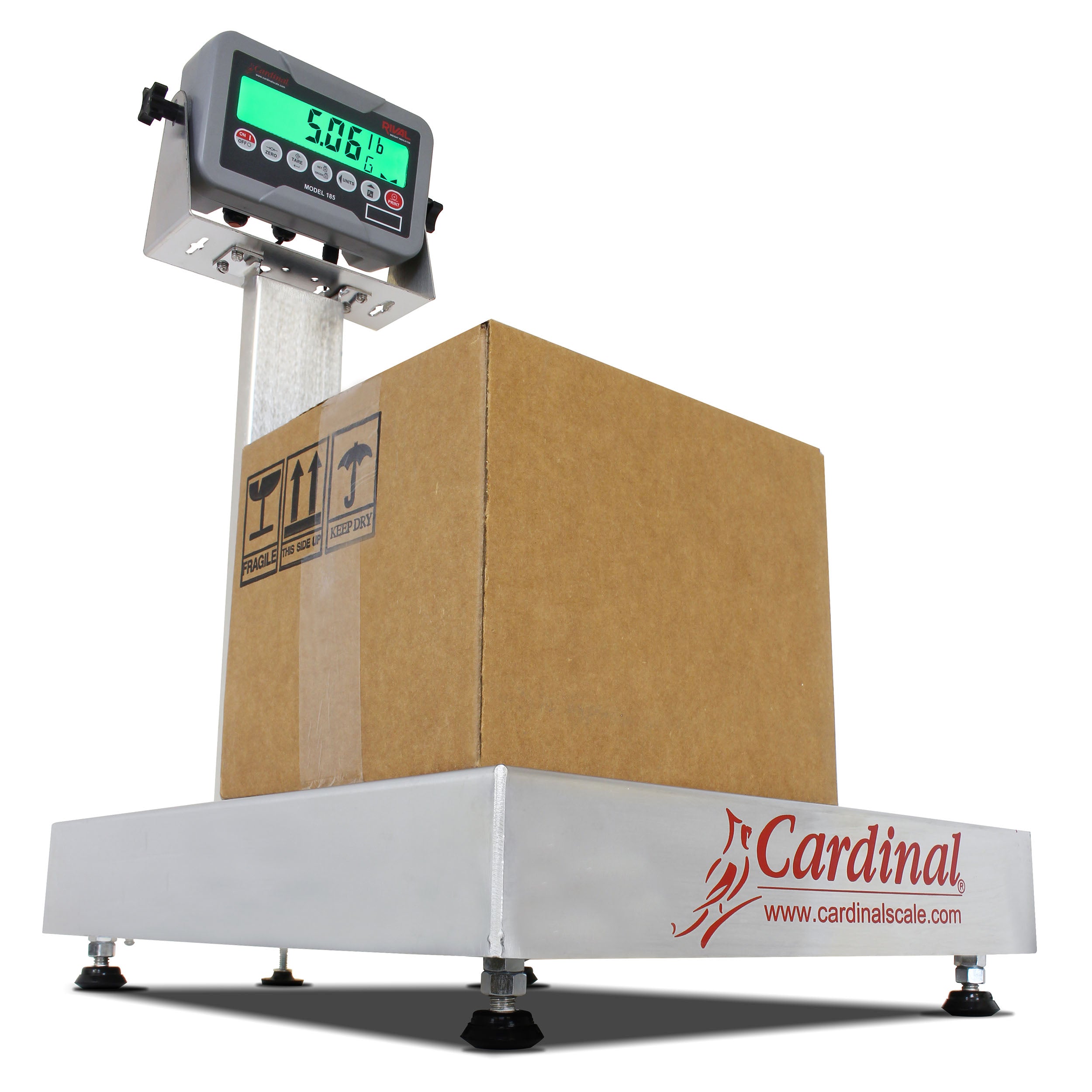 Cardinal EB-185 Series Bench Scale