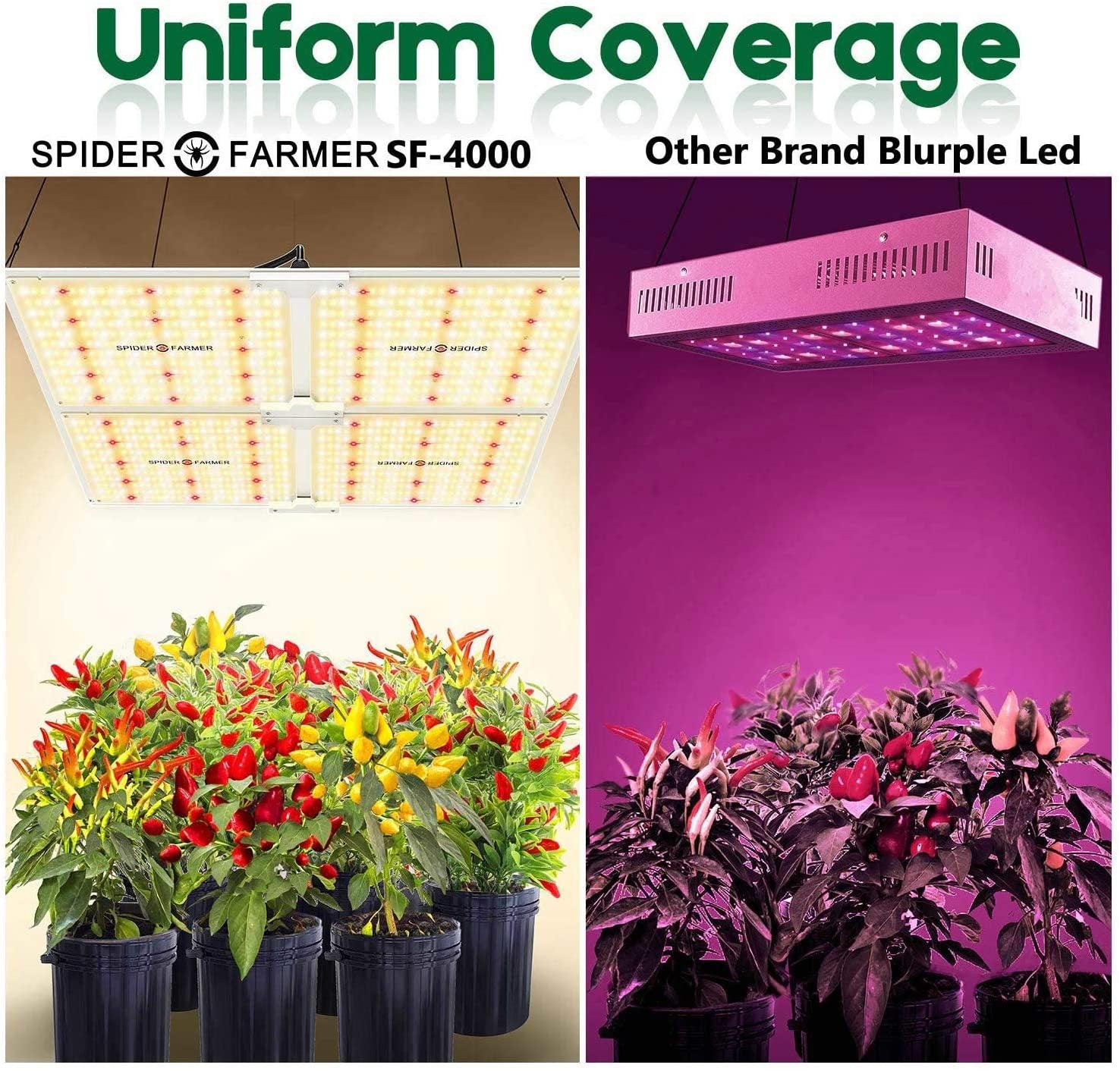 Spider Farmer SF4000 Full Spectrum 3000K 5000K 660nm 760nm IR Grow Light with LM301B Diodes & Dimmable Mean Well Driver New