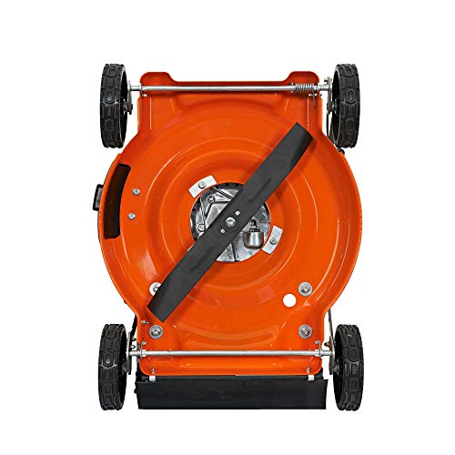 YARDMAX 20-Inch Walk-Behind 2-in-1 Push Mower 170cc YG0545