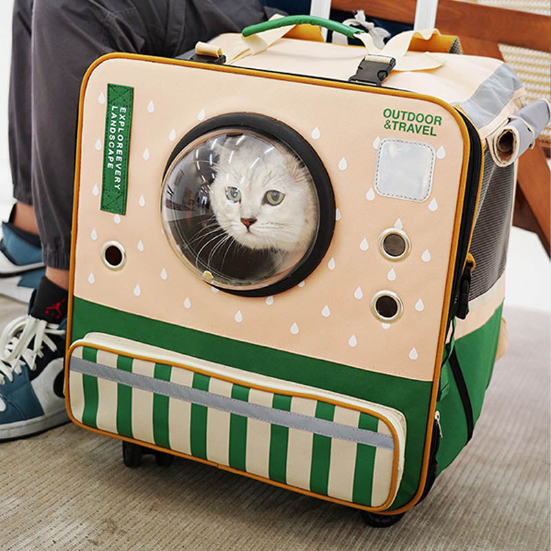 Transparent Window Cat Carrier