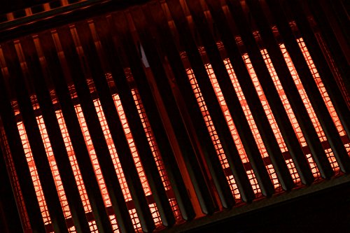 Solaire SOL-AA23A-LP AllAbout Double Burner Infrared Gas Grill, Stainless Steel