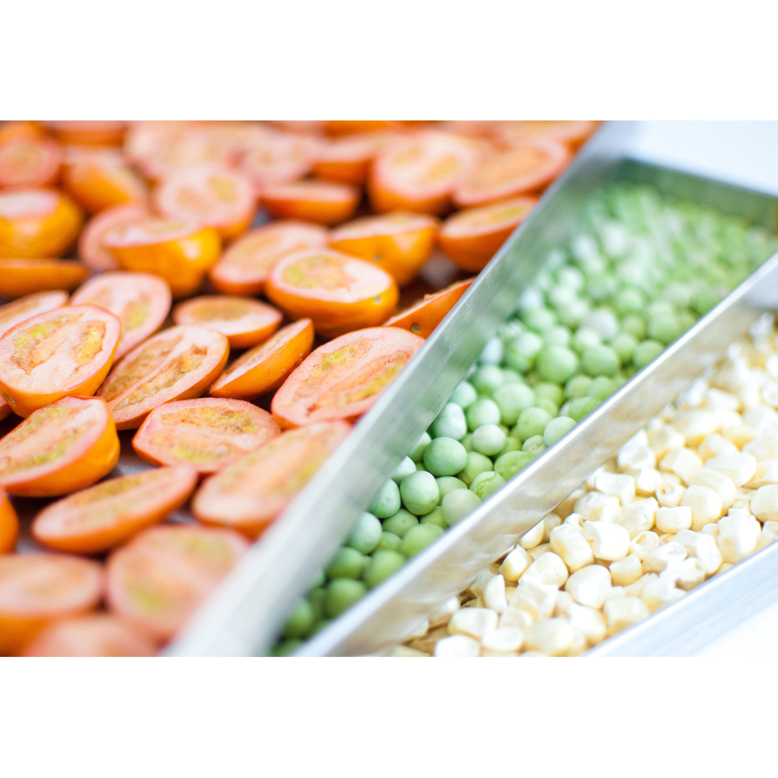 Harvest Right Large Home Freeze Dryer