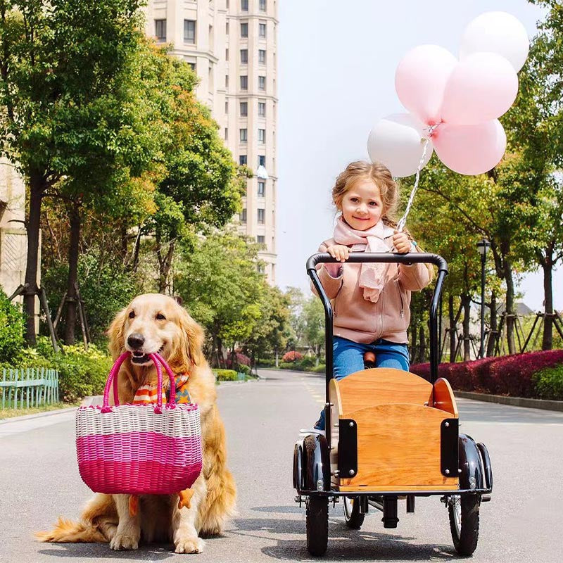Dog Bike Trailer