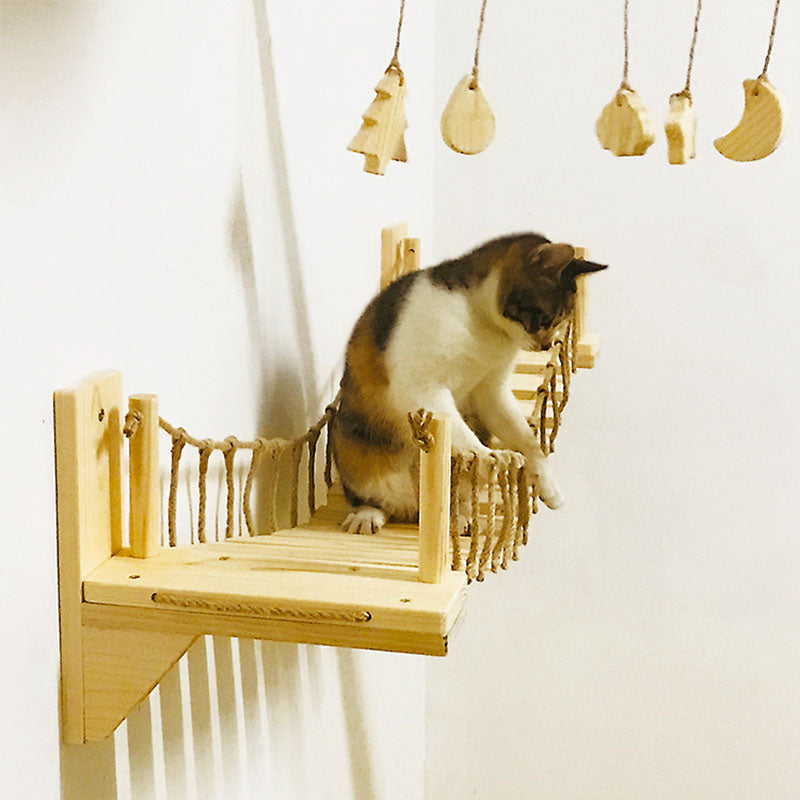 Cat Climbing Frame Ladder