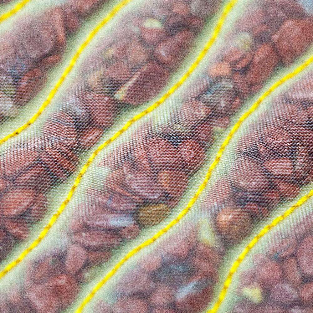 HealthyLine Rainbow Medium 5024 Firm PEMF InfraMat Pro® First Edition Chakra Mat New