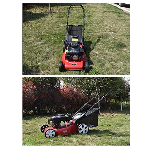 wangzi Self-propelled Lawnmower Self-propelled Hand-Push Lawn Mower Lawn Mower Household Cutting Height 20-50cm Cutting Width500mm
