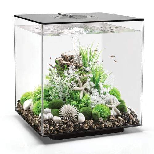 biOrb Cube 60L / 16 Gallon All-in-One Acrylic Aquarium Kit with Multicolor Light