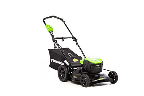 Greenworks 13 Amp 21-Inch Electric Lawn Mower, MO13B00