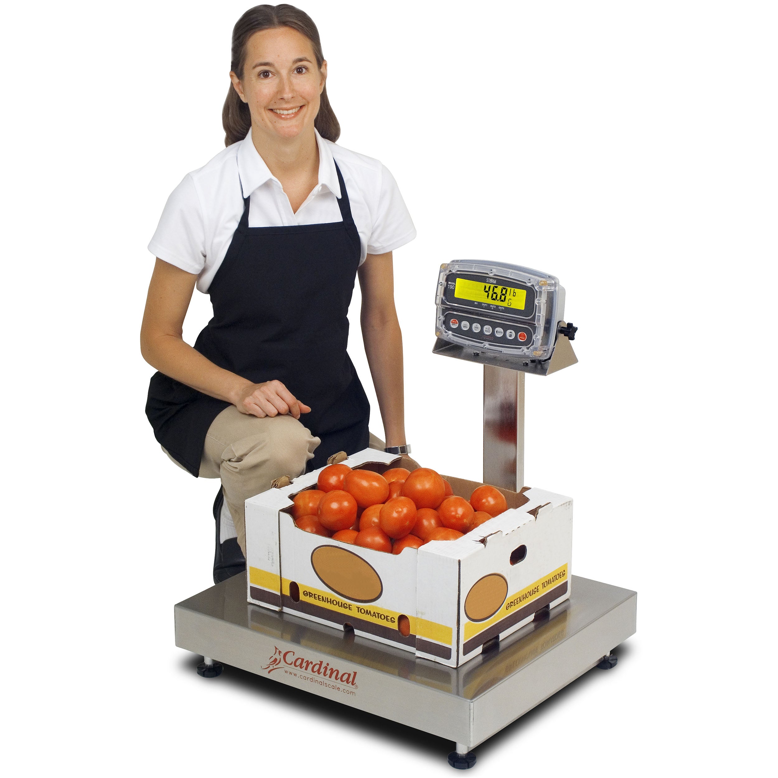 Cardinal EB-190 Series Bench Scale