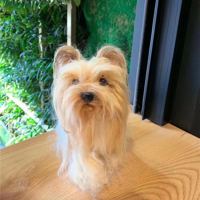 Pet's Whole Body Custom Wool Felt