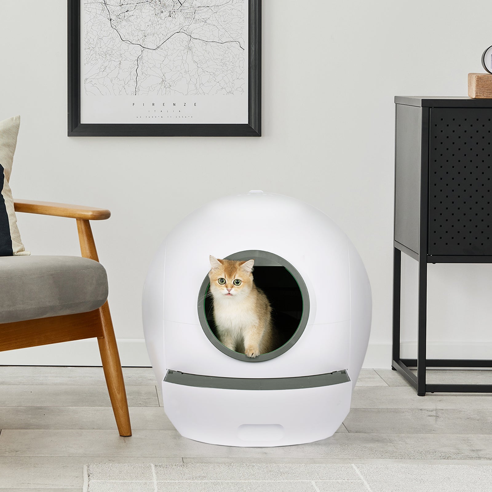 Self-cleaning Cat Litter Box