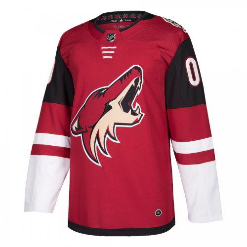 Men Arizona Coyotes Custom NHL Jersey