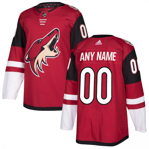 Men Arizona Coyotes Custom NHL Jersey