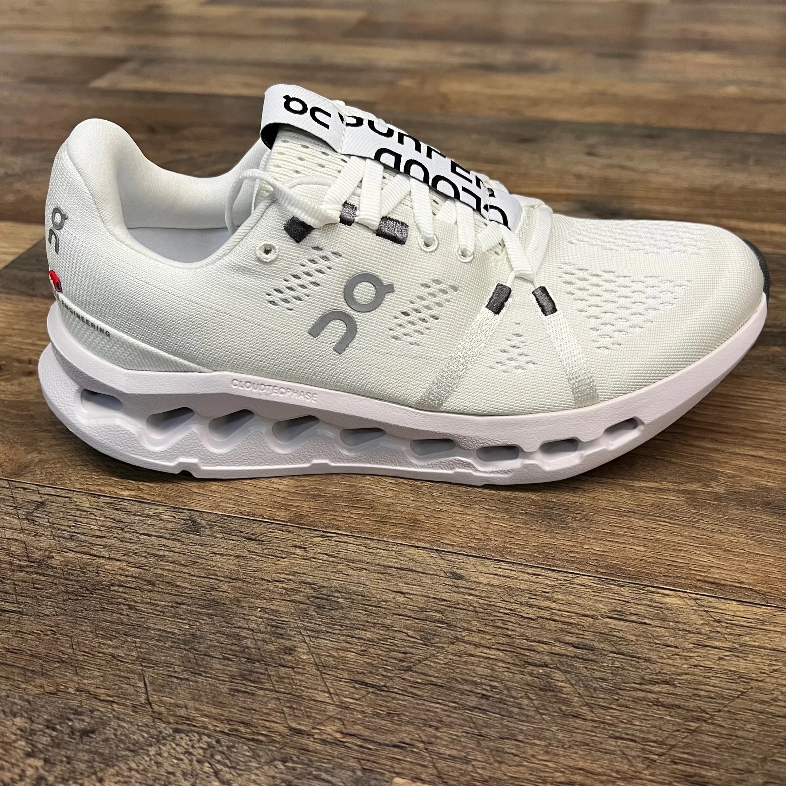 OGRPHY 48V 10A Lithium Battery Charger with 0V Charging Function